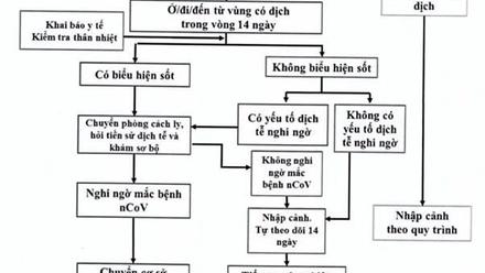 Quyết định Về việc ban hành “Hướng dẫn tạm thời giám sát và phòng, chống bệnh viêm đường hô hấp cấp do chủng mới của vi rút Corona (nCoV)”